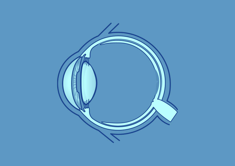 Inspiration à la réalisation du logo du Centre ophtalmologique du Pastel à Saïx